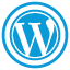 WordPress Expert